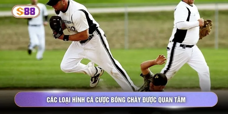 Các loại hình cá cược bóng chày được quan tâm