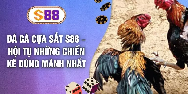 Đá Gà Cựa Sắt S88 – Hội Tụ Những Chiến Kê Dũng Mãnh Nhất