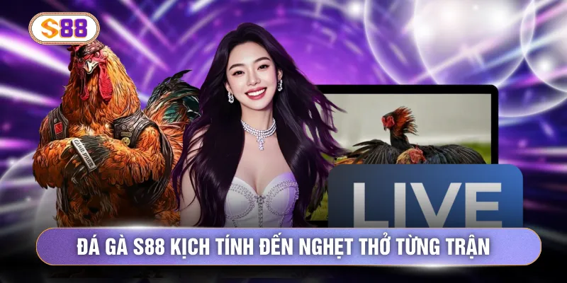 Đá gà S88 kịch tính đến nghẹt thở từng trận