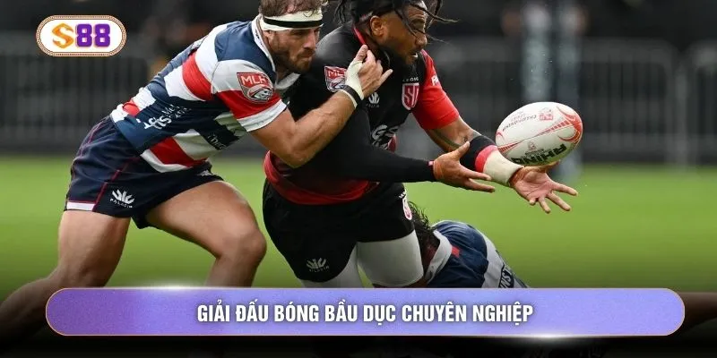 Giải đấu bóng bầu dục chuyên nghiệp