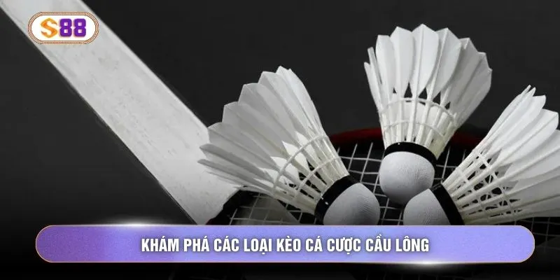 Khám phá các loại kèo cá cược cầu lông